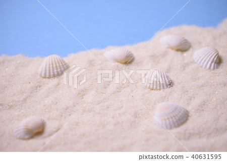 Summer sandy beach with shells 40631595