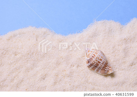 Summer sandy beach with shells 40631599
