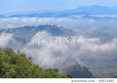 fog cover the trees in the Phang Nga valley fog cover the trees in the Phang Nga valley 40633065