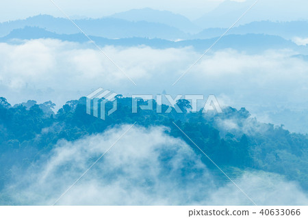 fog cover the trees in the Phang Nga valley fog cover the trees in the Phang Nga valley 40633066