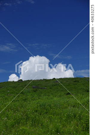 Plateau 40633275