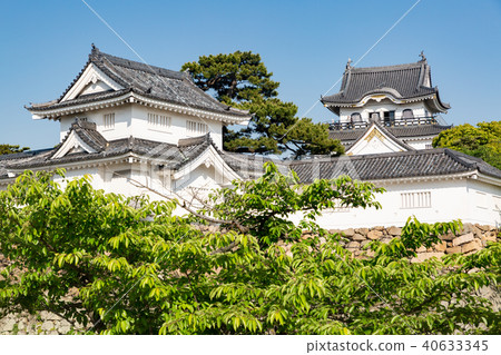 Kishiwada castle 40633345
