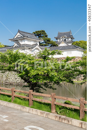 Kishiwada castle Kishiwada castle 40633347