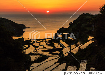 Rice terrace of Hamanoura Rice terrace of Hamanoura 40634237