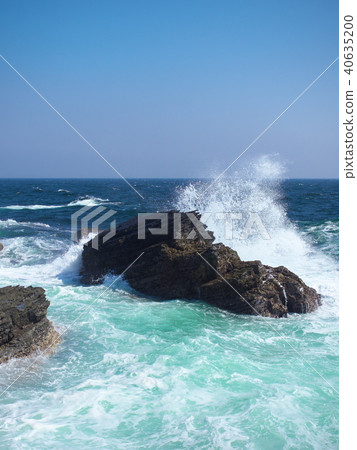 Wilderness of Jogashima Nature 40635200