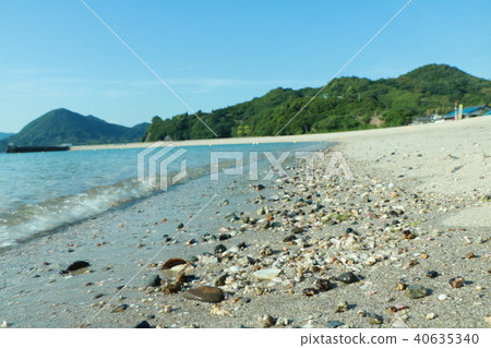 Look for beautiful shells 40635340