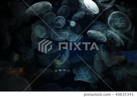 神秘的世界 40635341