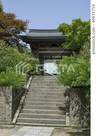 Kaizo-ji(鎌倉市小川)的山門 Kaizo-ji(鎌倉市小川)的山門 40635759