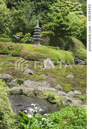 Kaizokura花園(鎌倉市小川) Kaizokura花園(鎌倉市小川) 40636443