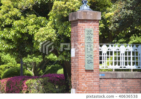 東京藝術大學 東京藝術大學 40636538