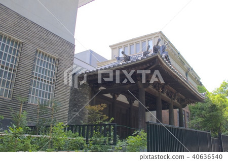 東京藝術大學 東京藝術大學 40636540