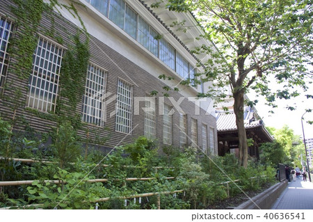 東京藝術大學 40636541