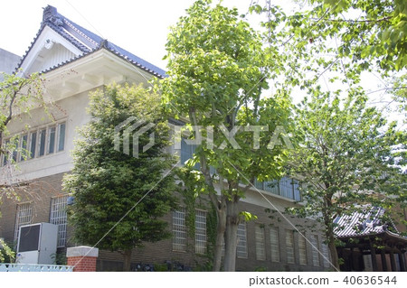 東京藝術大學 40636544
