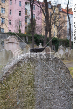 Tombstone, jewish cemetry,Prague,Czech republic 40637597