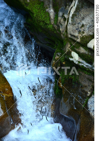 Going upstream of the waterfall Nori 40637780