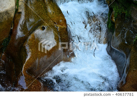 Going upstream of the waterfall Nori 40637781