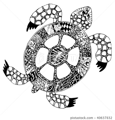 Hand drawn doodle turtlewith different patterns Hand drawn doodle turtlewith different patterns 40637832
