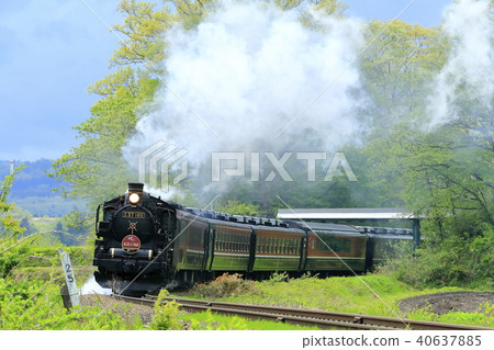 Ban oversea line SL of fresh green Ban oversea line SL of fresh green 40637885
