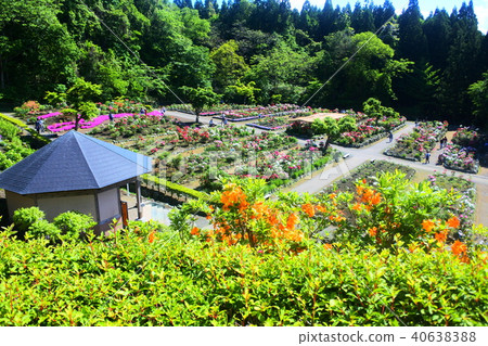 南本町的Nagatani Rotan Garden 南本町的Nagatani Rotan Garden 40638388