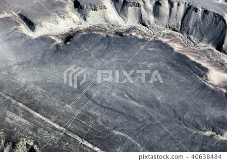 drawing hummingbirds to desert of Nazca drawing hummingbirds to desert of Nazca 40638484