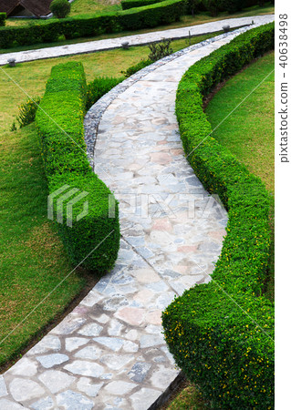path and bushes in park 40638498