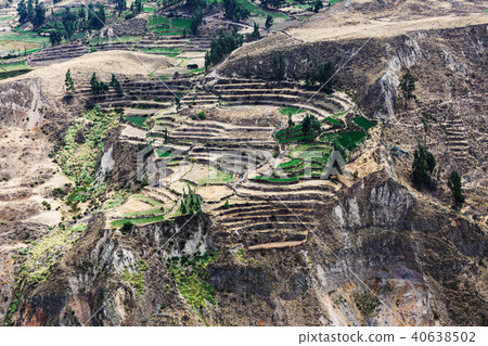 fields in a mountain valley 40638502