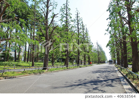 Keio University Hiyoshi Campus 40638564