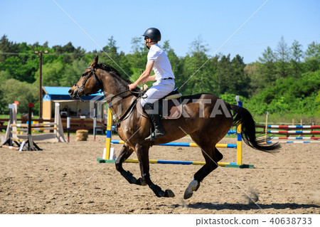 Horse rider is jumping over obstacles Horse rider is jumping over obstacles 40638733