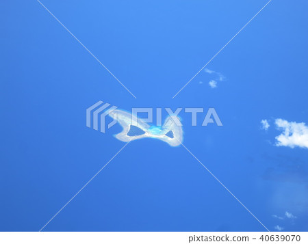 蝴蝶島 蝴蝶島 40639070