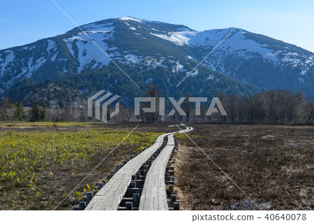 Spring Mt. Foshan Spring Mt. Foshan 40640078