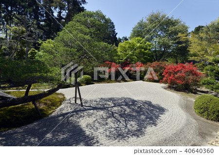 Yoonsuin Garden 40640360