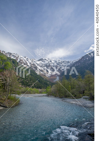 Kamikochi Azusawa and Hodaka mountains of fresh green 40640450