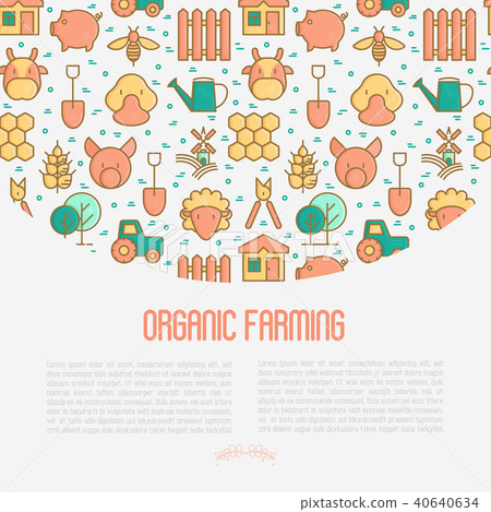 Organic farming concept with thin line icons Organic farming concept with thin line icons 40640634