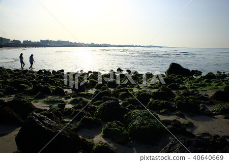 Hamdeok海灘的春天 40640669