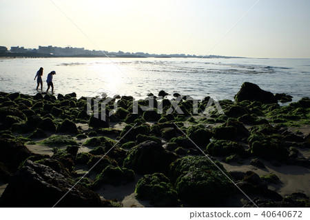 Spring of Hamdeok Beach 40640672
