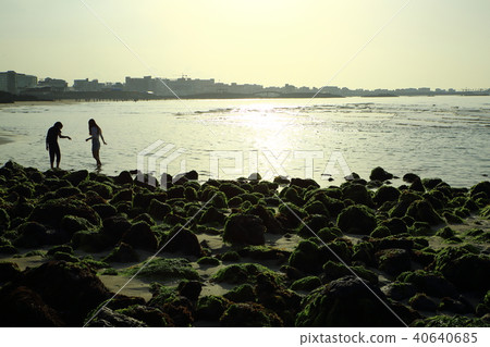 Spring of Hamdeok Beach 40640685