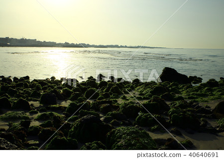 Spring of Hamdeok Beach 40640691