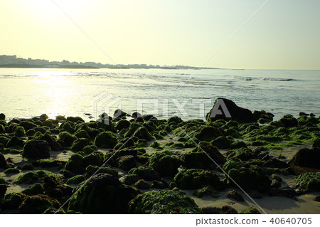 Spring of Hamdeok Beach Spring of Hamdeok Beach 40640705