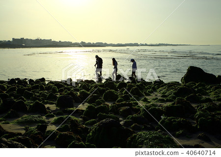 Spring of Hamdeok Beach 40640714