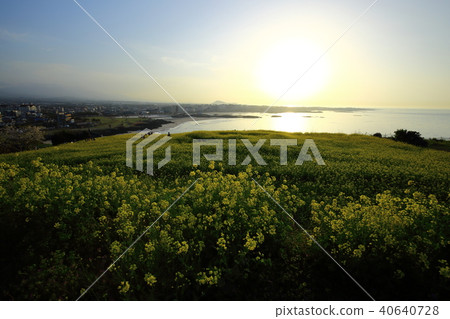 Spring of Hamdeok Beach Spring of Hamdeok Beach 40640728