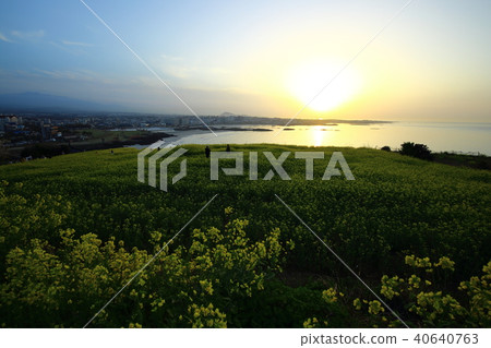 Spring of Hamdeok Beach Spring of Hamdeok Beach 40640763