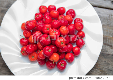 Acerola Acerola 40642038