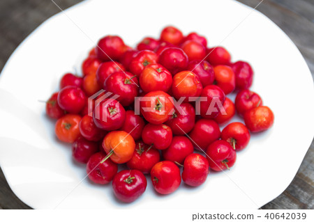 Acerola Acerola 40642039