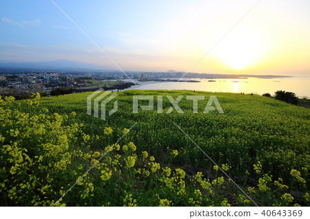 Hamdeok海灘的光芒！ 40643369