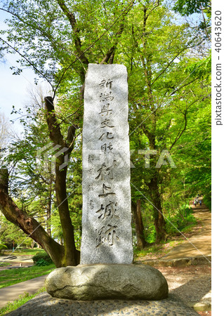 Niigata Murakami Castle Pass Niigata Murakami Castle Pass 40643620