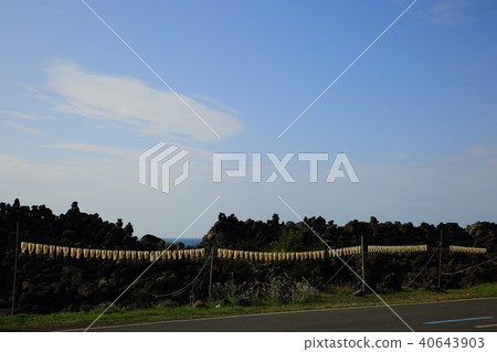 The island nation, 40643903