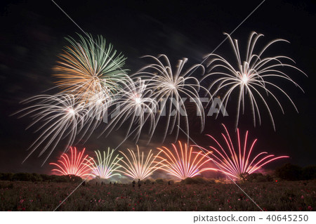 Kogaigawa Fireworks 40645250