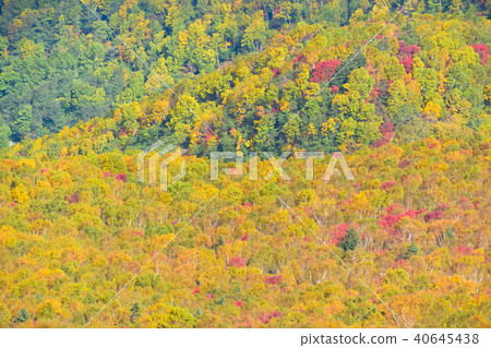 秋天視圖Kurodake山口 秋天視圖Kurodake山口 40645438