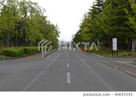 弘前體育公園在春天 弘前體育公園在春天 40645591