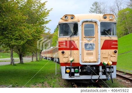 Crawford Park / Kiha 82 trains in the spring of 2018 40645922